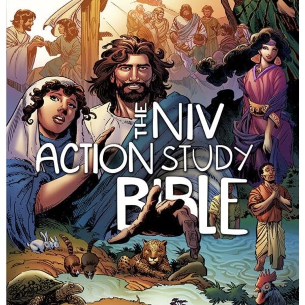 The NIV Action Study Bible (Action Bible Series) Hardcover